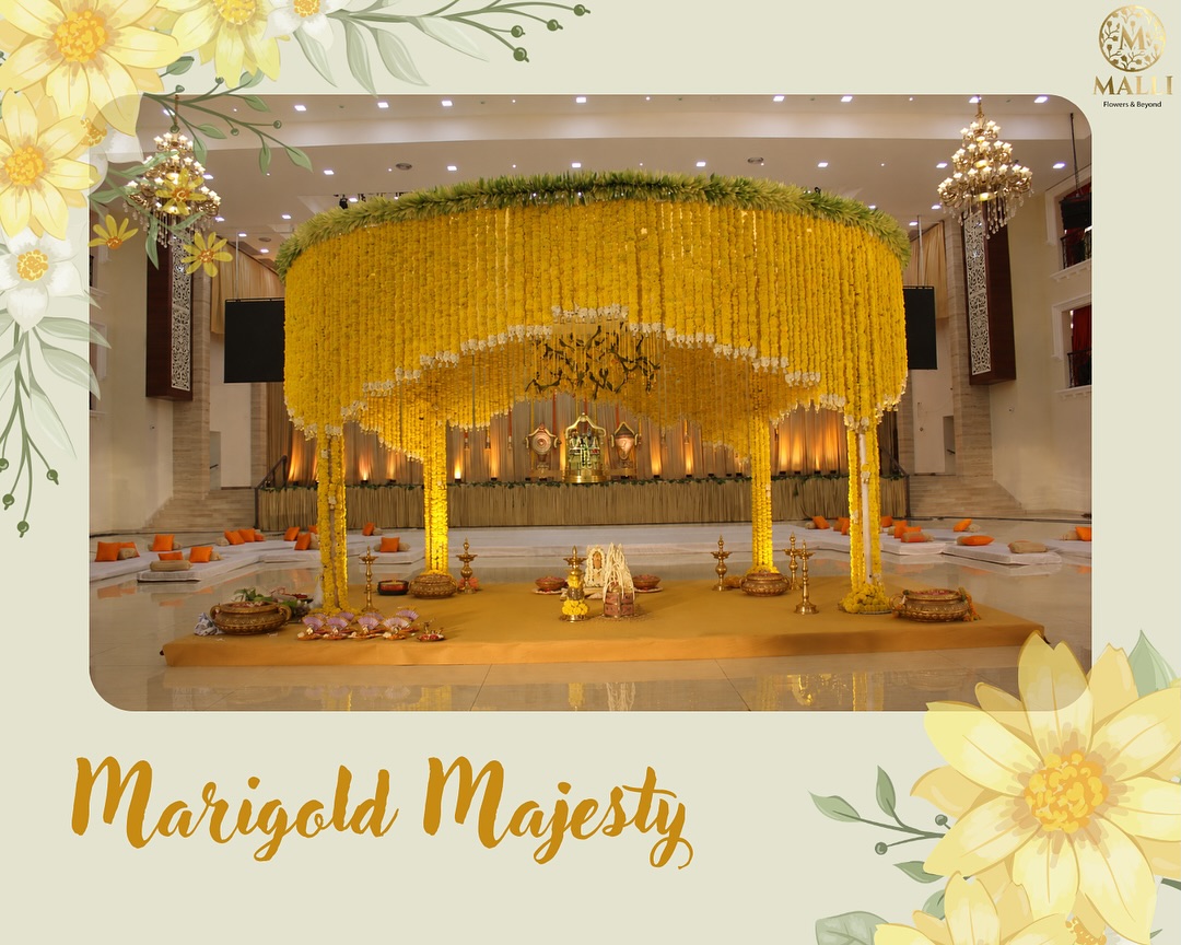 A canopy of marigolds, layered with tradition and bathed in golden warmth. A celebration where every...
